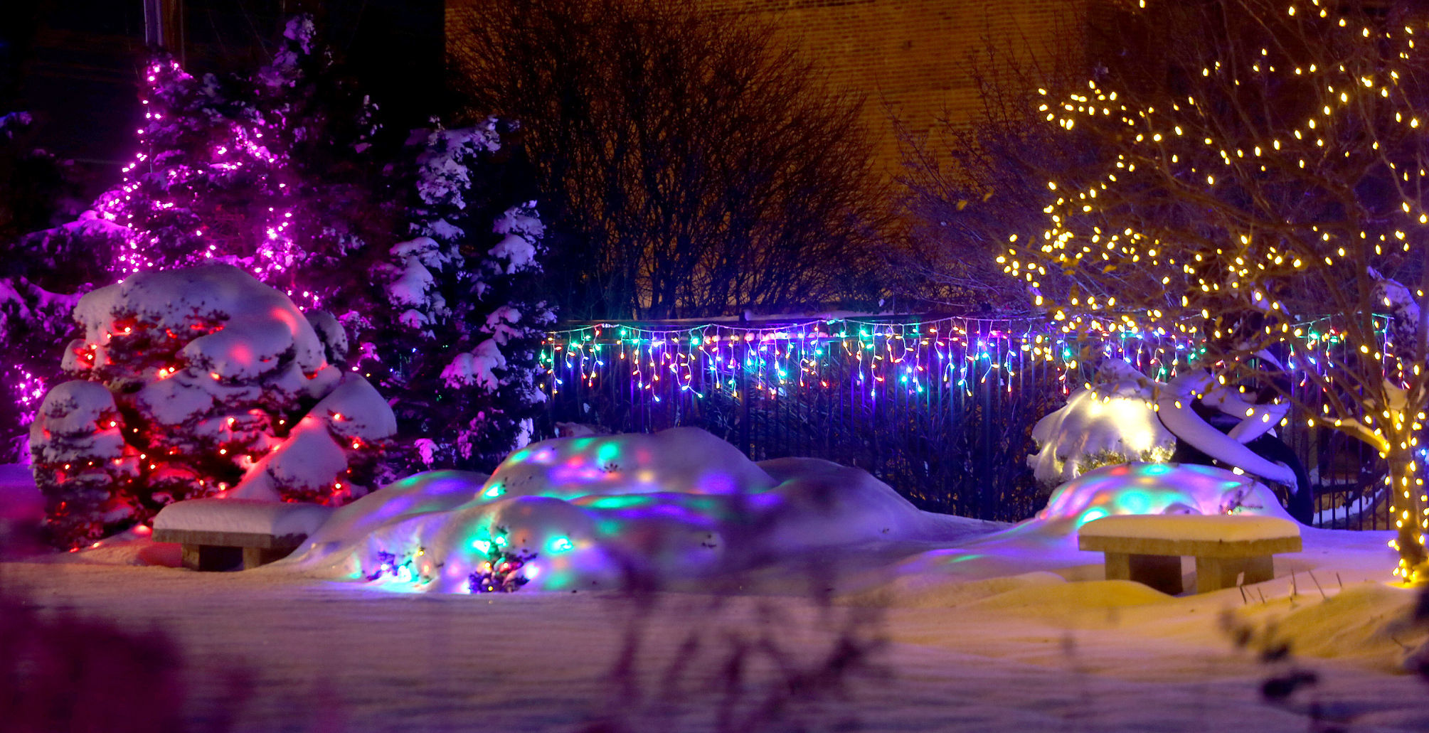 112718-botanical-lights-027
